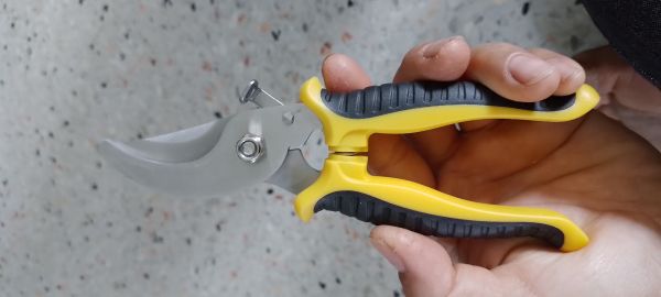 Buyer review image 3