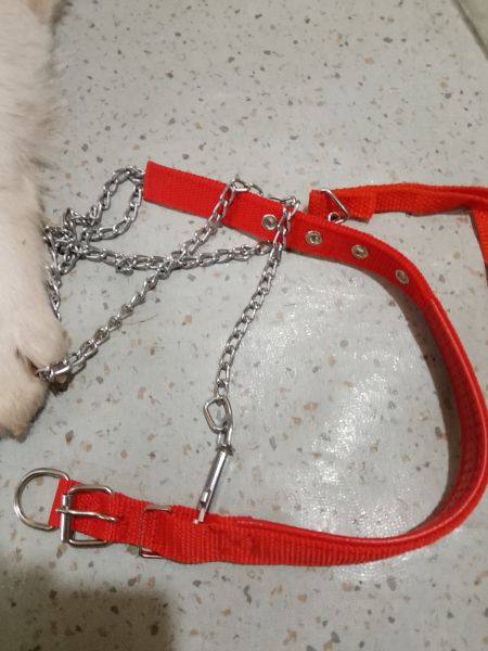 Buyer review image 3