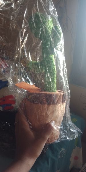 Buyer review image 1