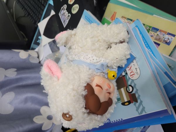 Buyer review image 5
