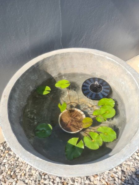 Buyer review image 3
