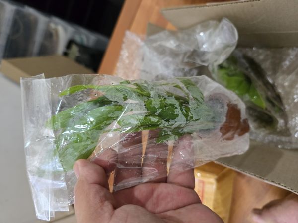 Buyer review image 4