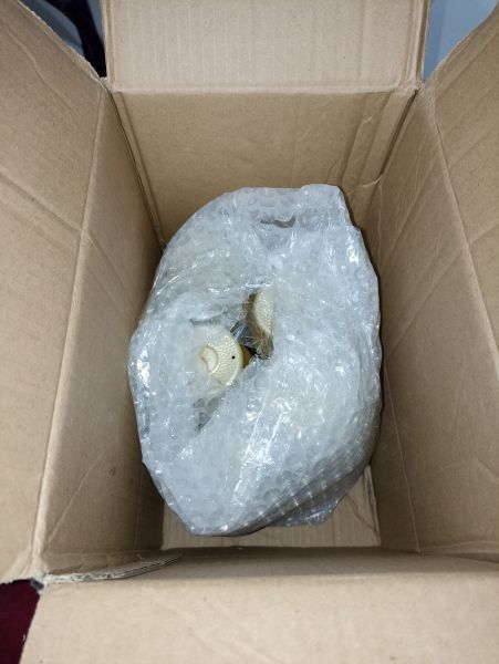 Buyer review image 2