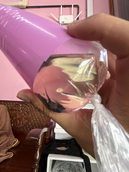 Buyer review image 3