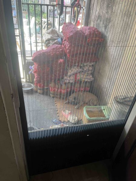 Buyer review image 4