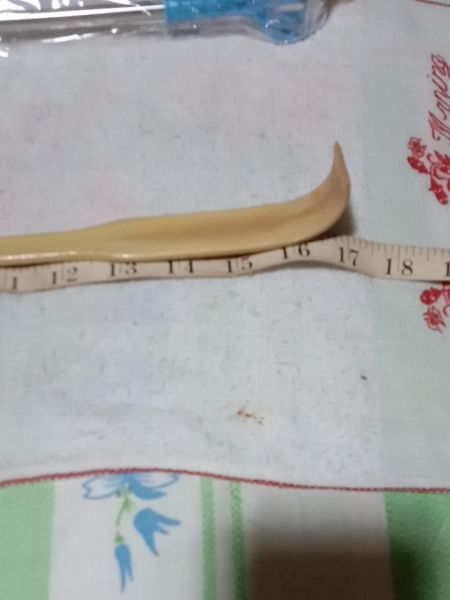 Buyer review image 3