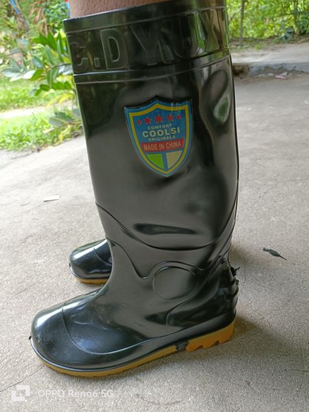Buyer review image 2