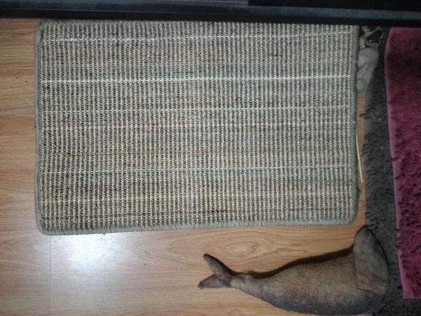 Buyer review image 3