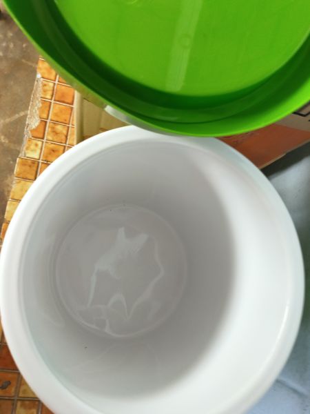 Buyer review image 5
