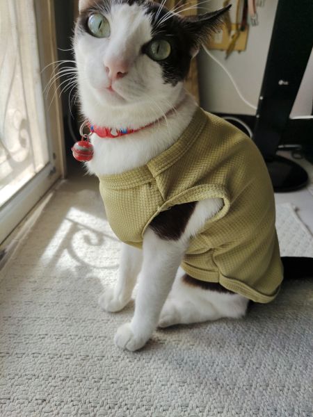 Buyer review image 1