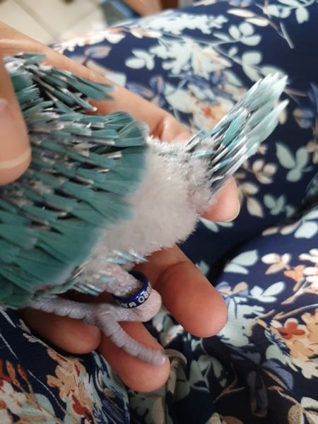 Buyer review image 1