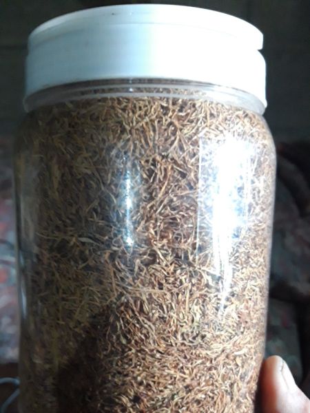 Buyer review image 4
