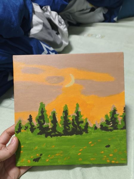 Buyer review image 1