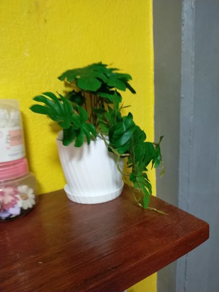 Buyer review image 5