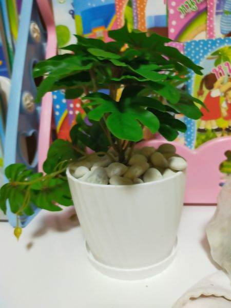Buyer review image 4