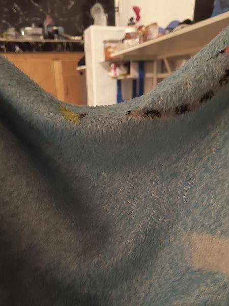 Buyer review image 1