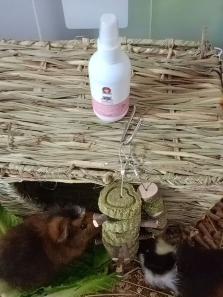 Buyer review image 2