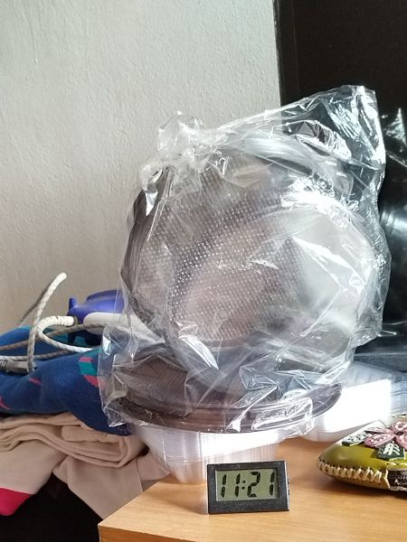 Buyer review image 2