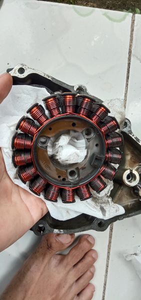 Buyer review image 2