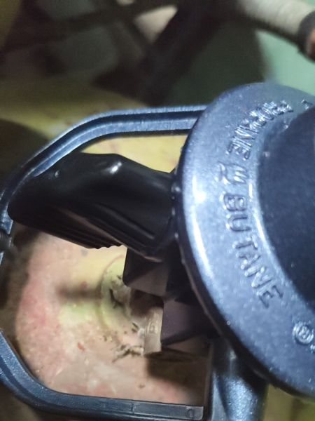 Buyer review image 2