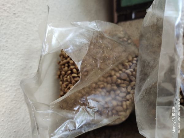 Buyer review image 4