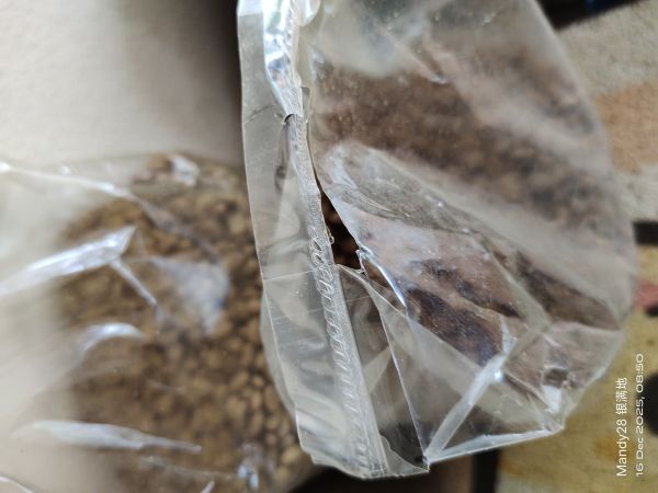 Buyer review image 5