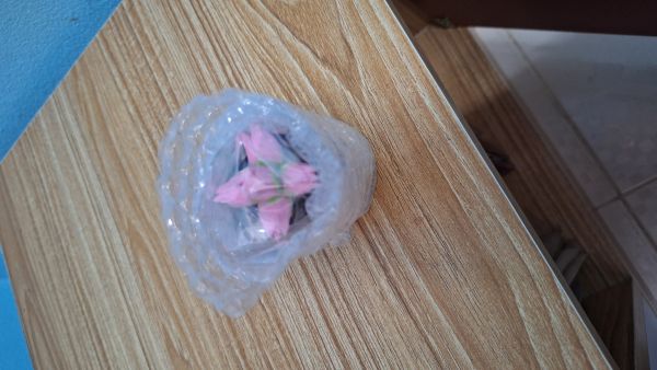 Buyer review image 1