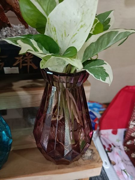 Buyer review image 4