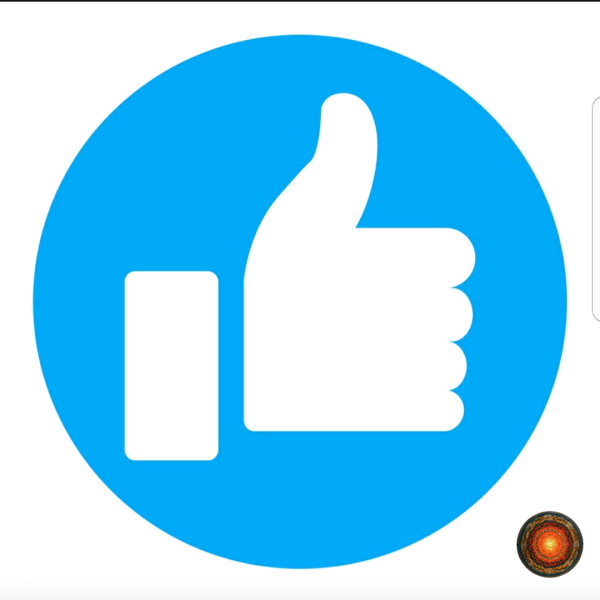 Buyer review image 4
