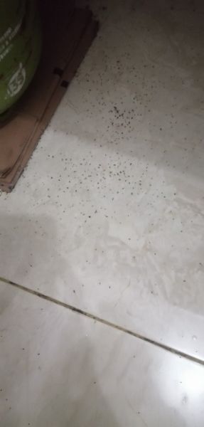 Buyer review image 5