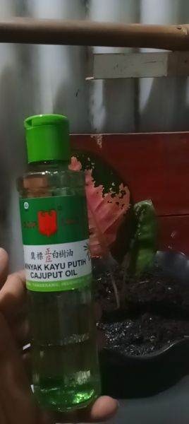 Buyer review image 2
