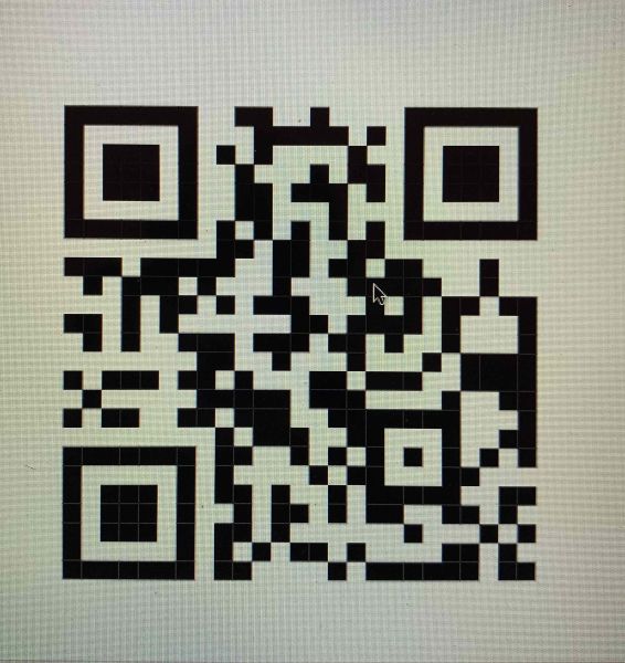 Buyer review image 4