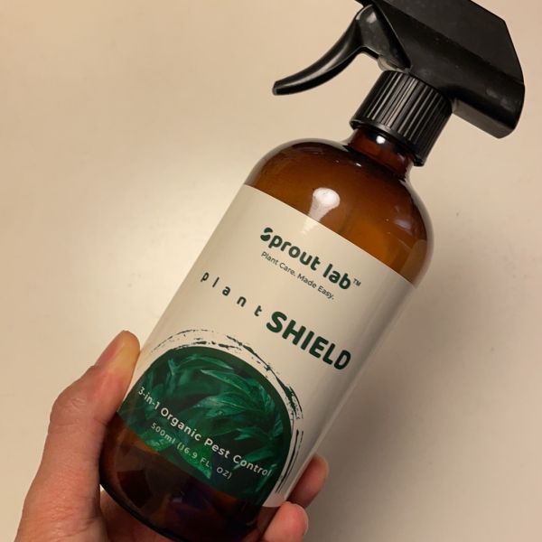 Buyer review image 1