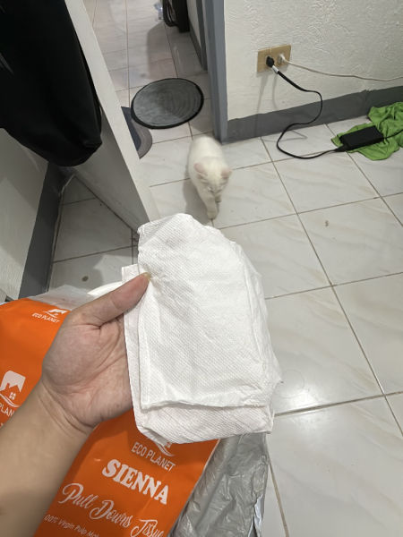 Buyer review image 2