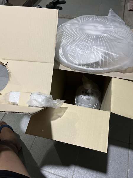 Buyer review image 1