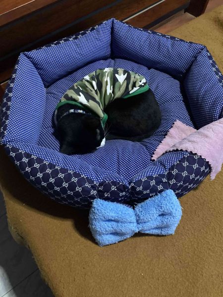 Buyer review image 4