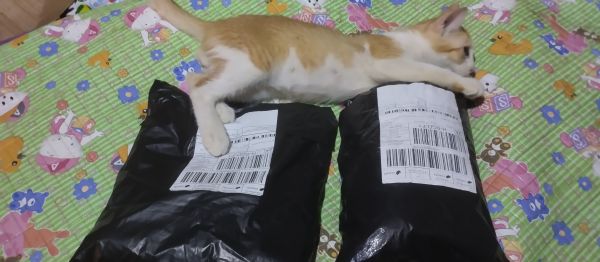 Buyer review image 1