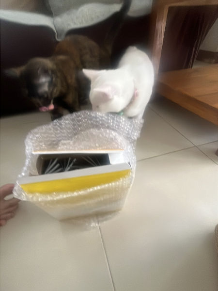 Buyer review image 1