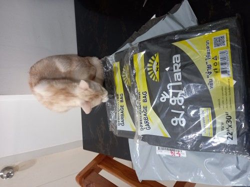 Buyer review image 2