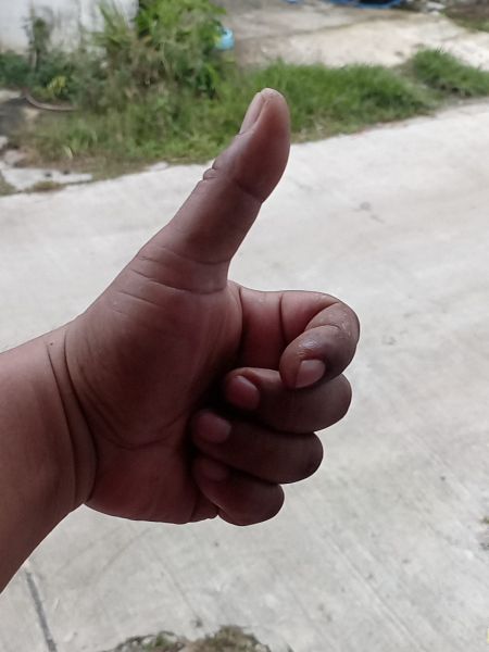 Buyer review image 1