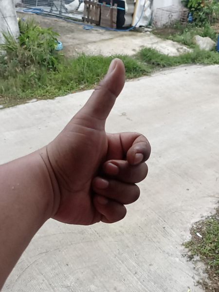 Buyer review image 1