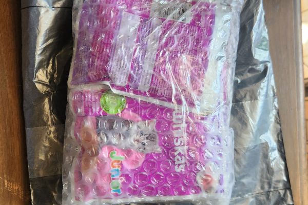 Buyer review image 2