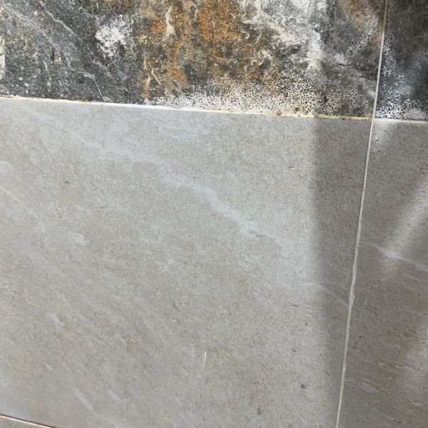 Buyer review image 4