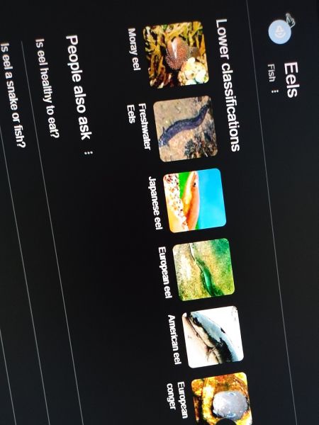 Buyer review image 4