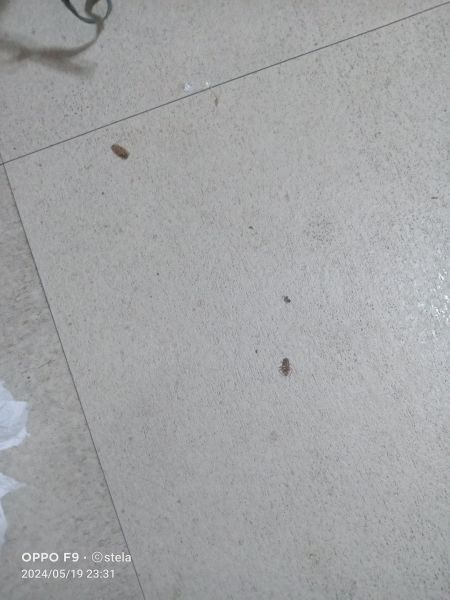 Buyer review image 5