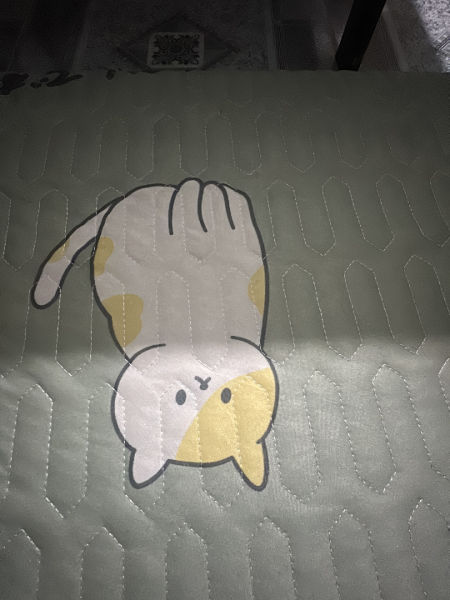 Buyer review image 1