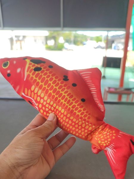 Buyer review image 1