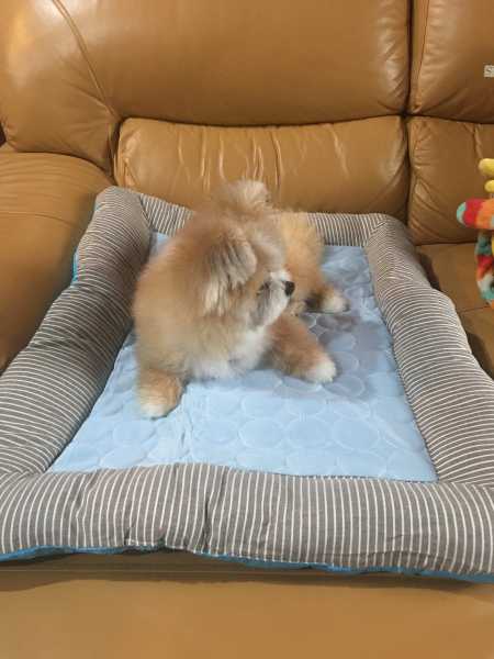 Buyer review image 3