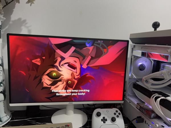 Buyer review image 1