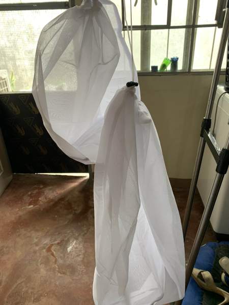 Buyer review image 3